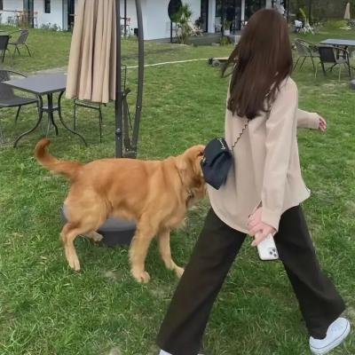 真理与背叛